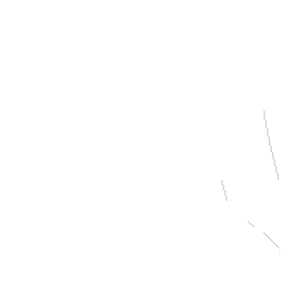 Sparsity of Hessian of Lagrangian